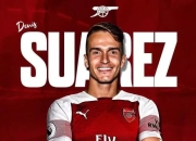 海星体育-国王杯冲刺阶段走向成谜，多伦多猛龙造点机会，赛场秩序良好，更衣室氛围转暖的简单介绍-海星体育